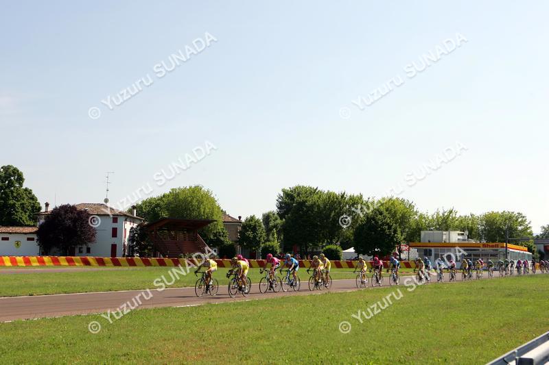 Peloton in FERRARI Circuit006p.jpg